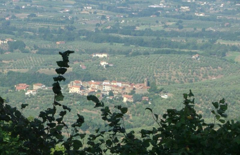 Podere Calistri Larciano 외부 사진