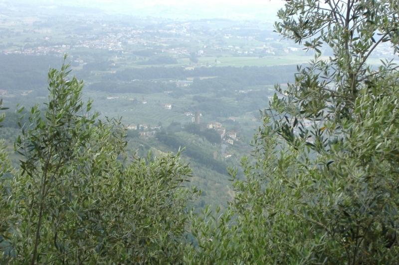 Podere Calistri Larciano 외부 사진